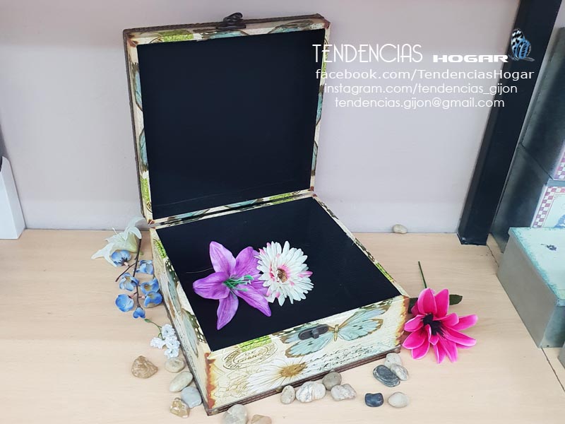 Interior de caja de madera mariposas